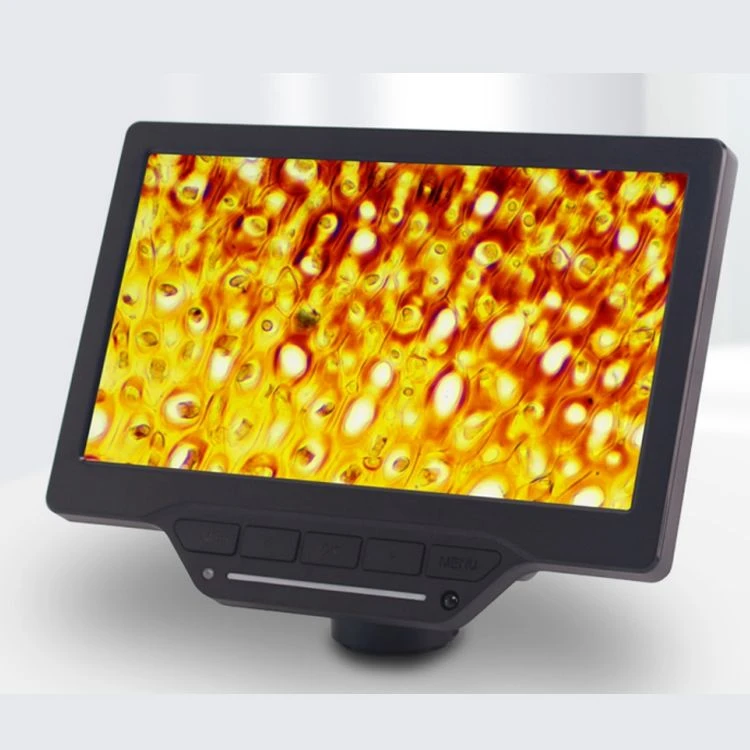 Pantalla USB HDMI WIFI de 7 pulgadas