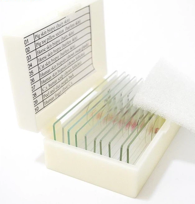 info-627-658 info-627-658